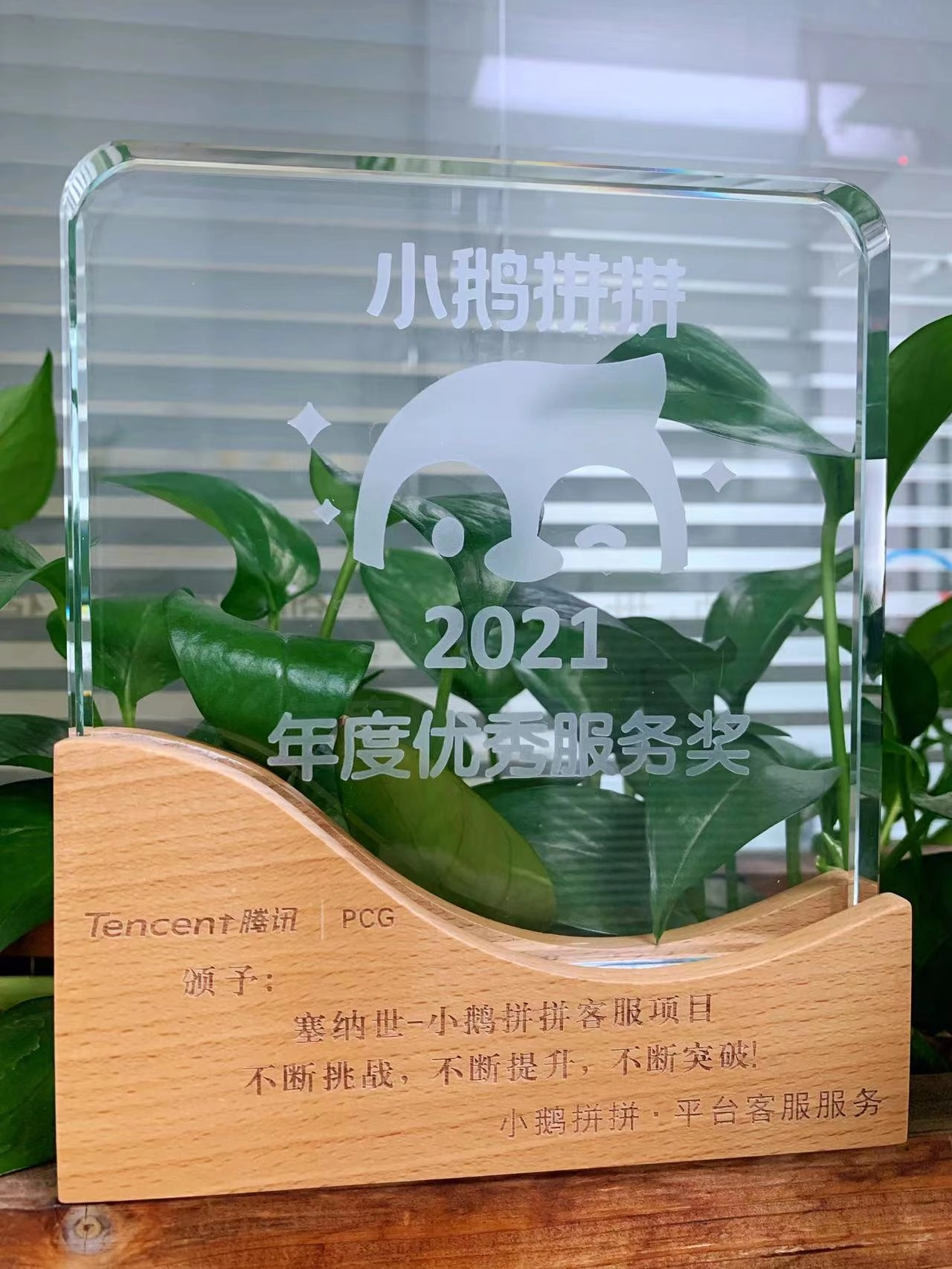 塞纳世获得腾讯颁发的2021年度优秀服务奖